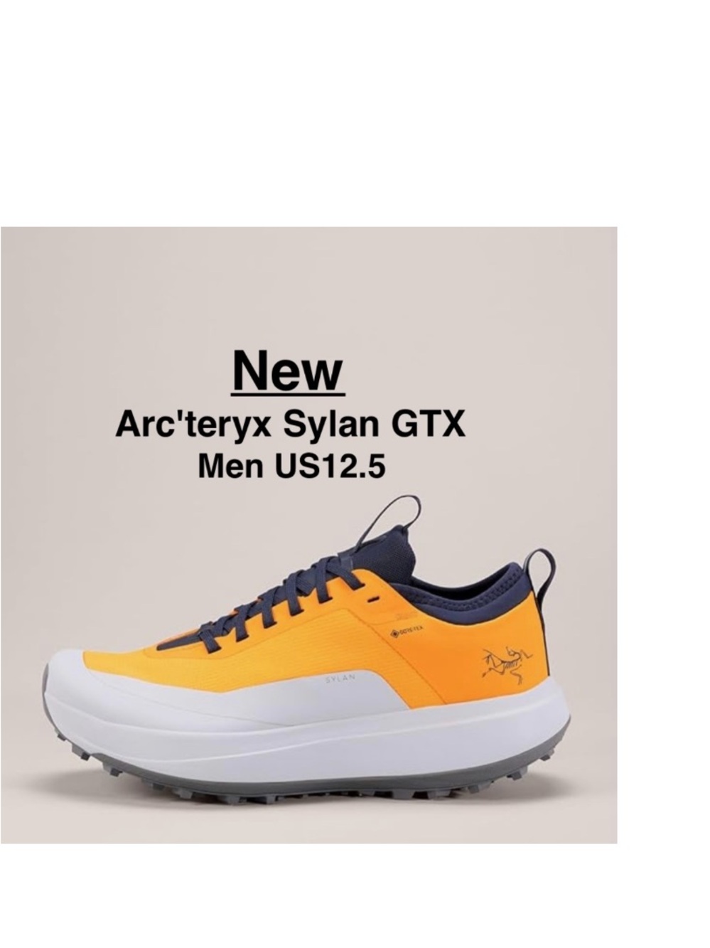 New Arc'teryx Men's Syvan GTX Shoes US 12.5 in Box Edziza /Solitude ⭐️⭐️⭐️⭐️